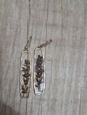 Gold Frame Dried Flower Drop Earrings - Brown